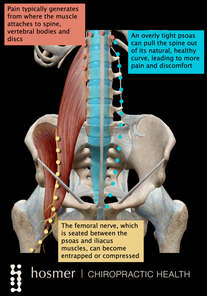 Releasing The Psoas Muscle Hips Low Back Ph