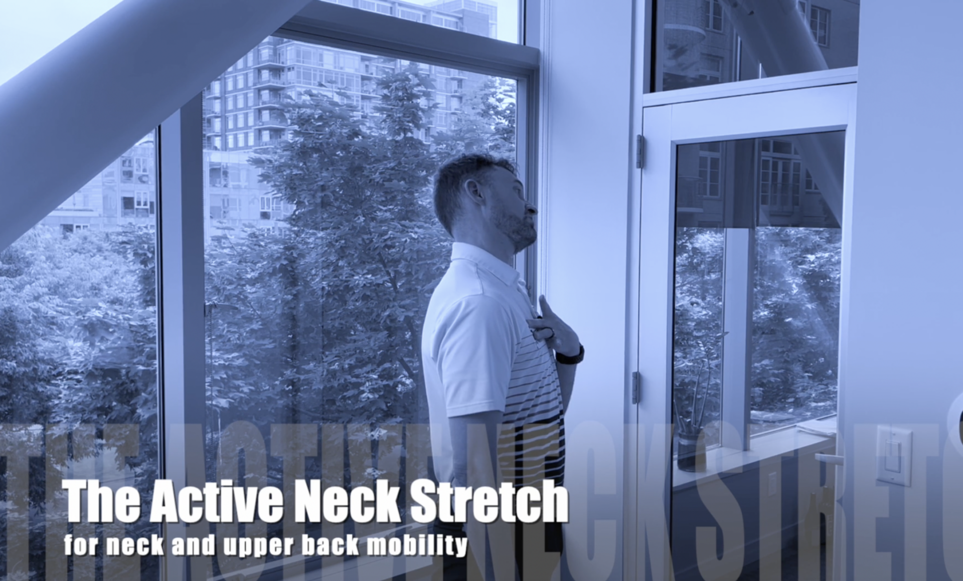 Active Neck Stretch